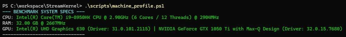 Terminal output of the machine profile script listing the CPU, RAM, and GPU of the benchmark machine.