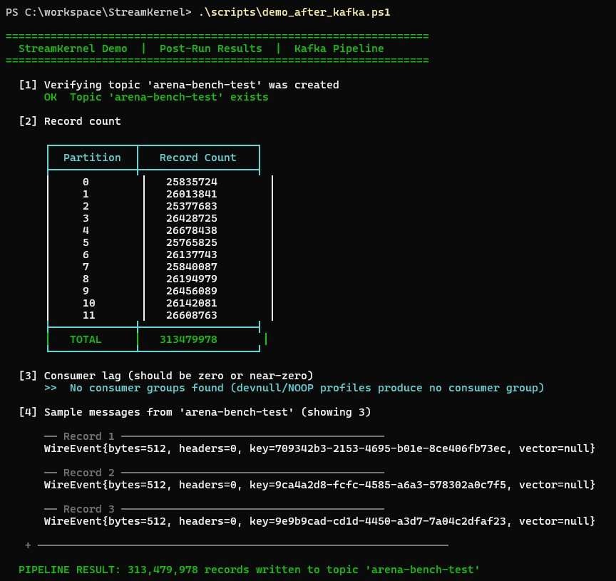 Terminal output of the post-run script listing per-partition record counts and sample messages after the run.