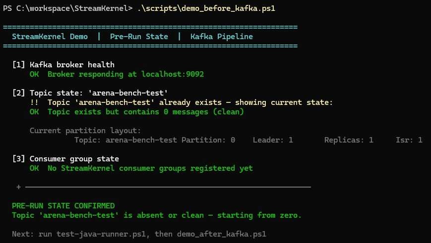 Terminal output of the pre-run demo script showing Kafka broker health, topic state, and consumer group state before the run.